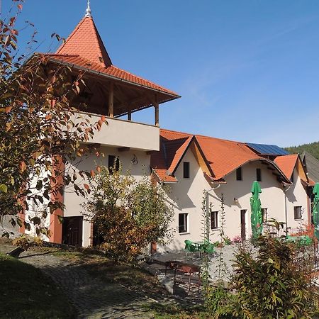 Bed and Breakfast Mokus Panzio à Bicfălău Extérieur photo