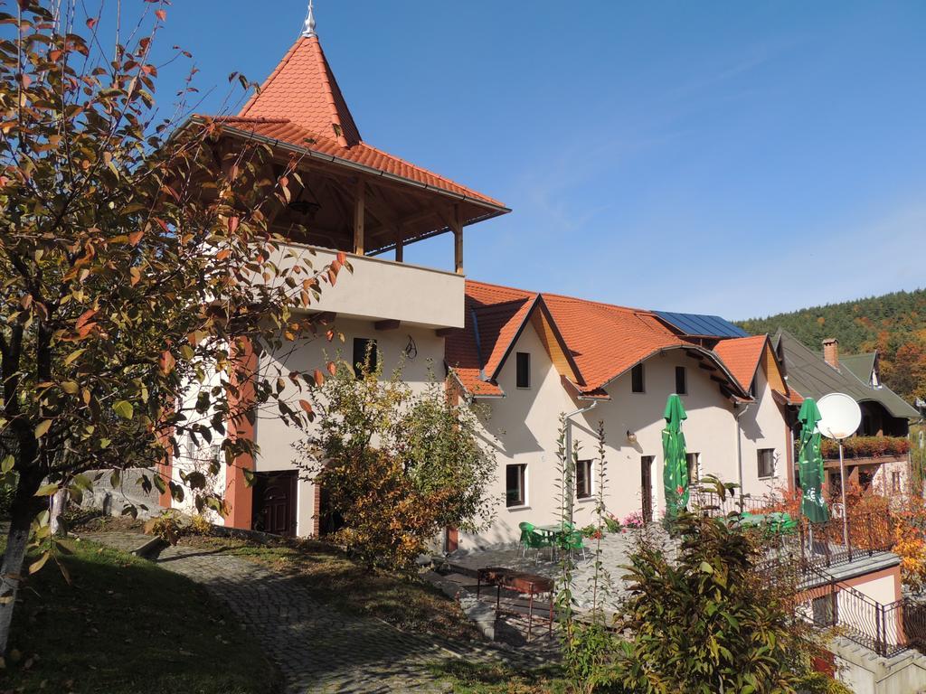 Bed and Breakfast Mokus Panzio à Bicfălău Extérieur photo